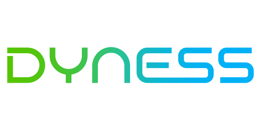 Dyness